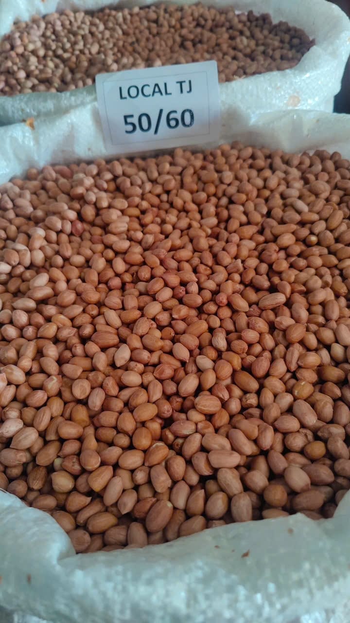 INDIAN PEANUTS TJ