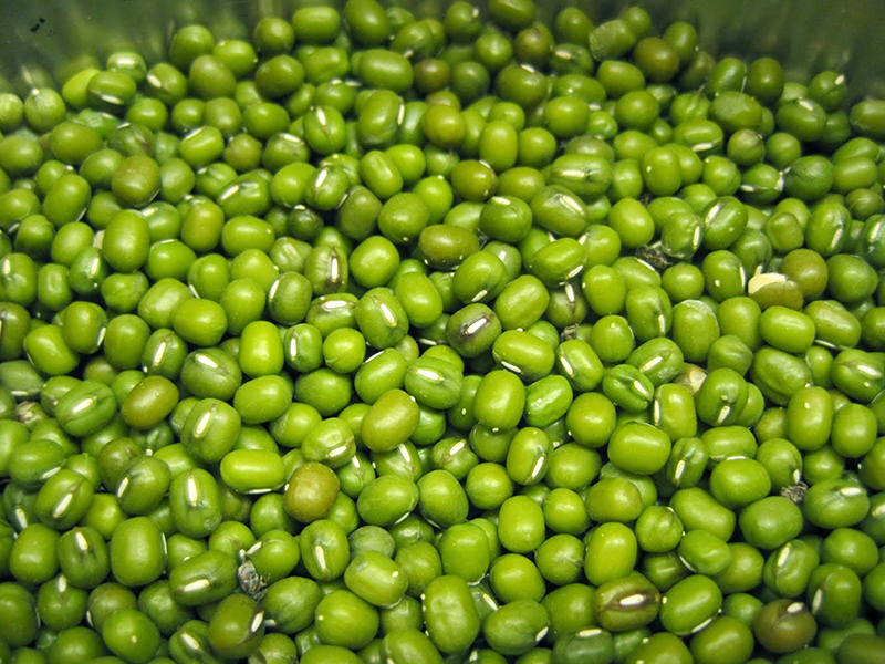 MUNG BEANS