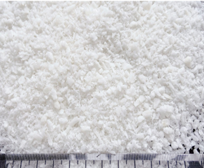 DESICCATED COCONUT HIGH FAT