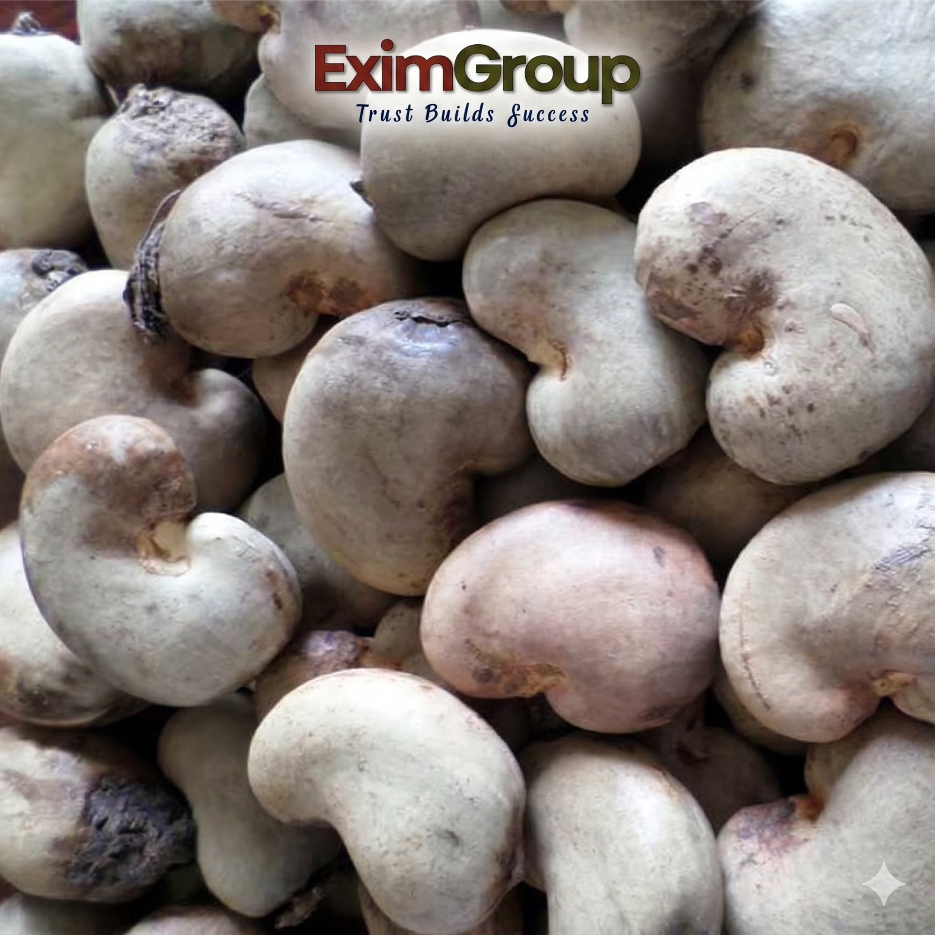 RAW CASHEW NUTS