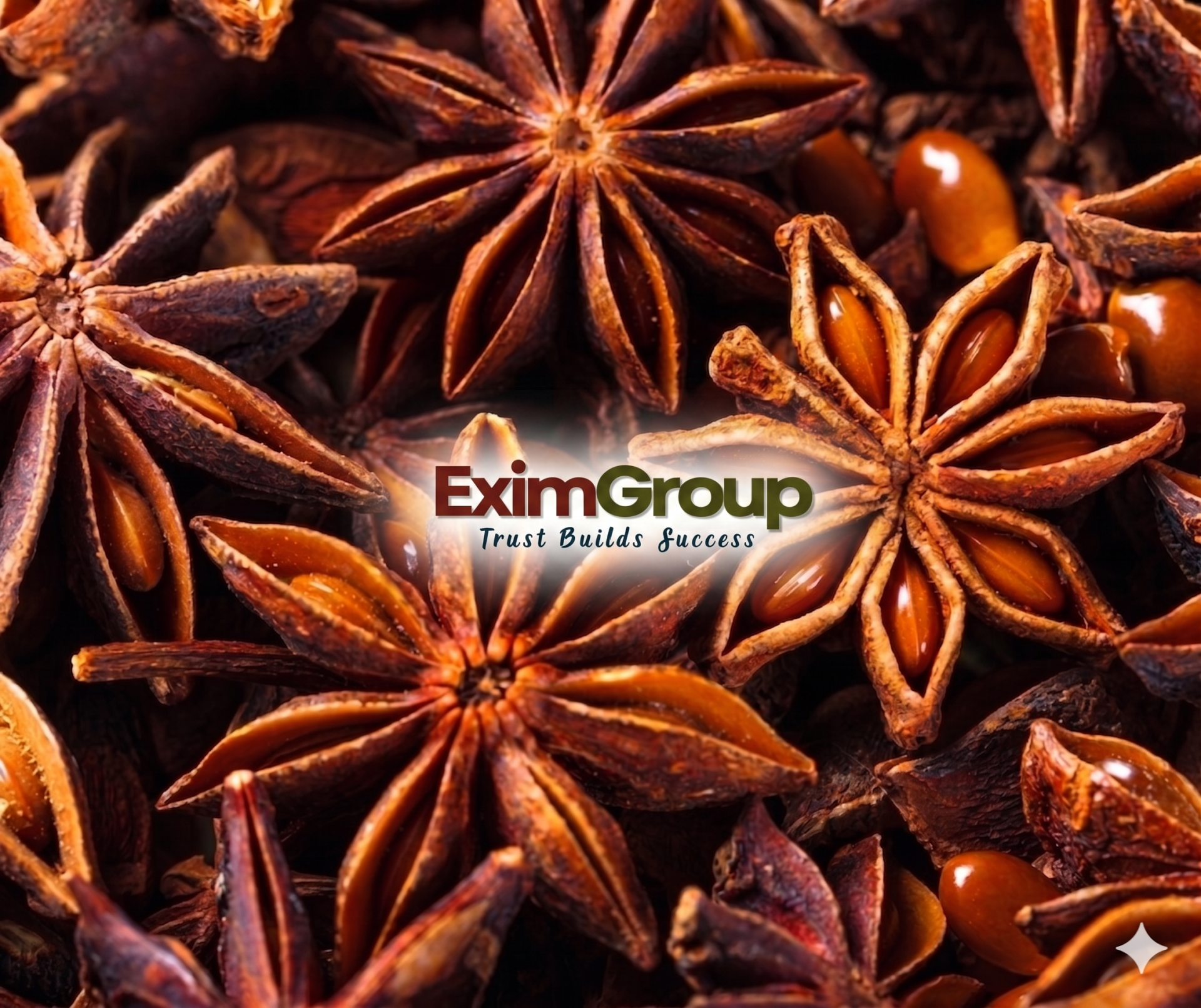 STAR ANISE SPRING CROP (STANDARD)