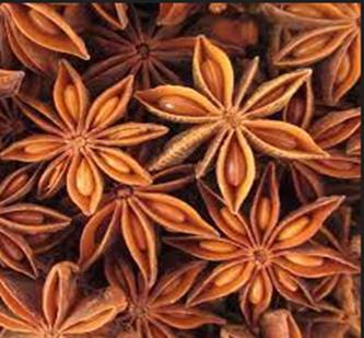 STAR ANISE AUTUMN CROP (SUPPERIOR)