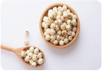 LOTUS SEEDS