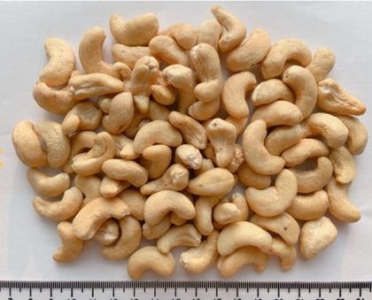 CASHEW NUTS EGP 320