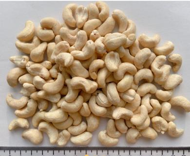 CASHEW NUTS EGP 450