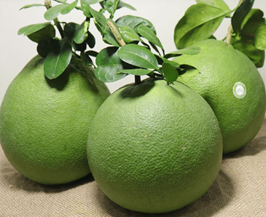 GREEN SKIN POMELO EGP