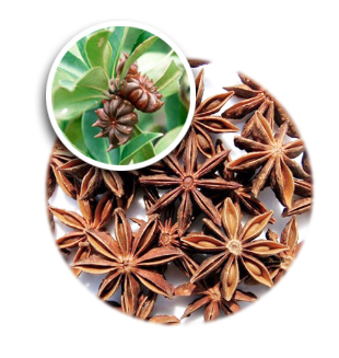BROKEN STAR ANISE