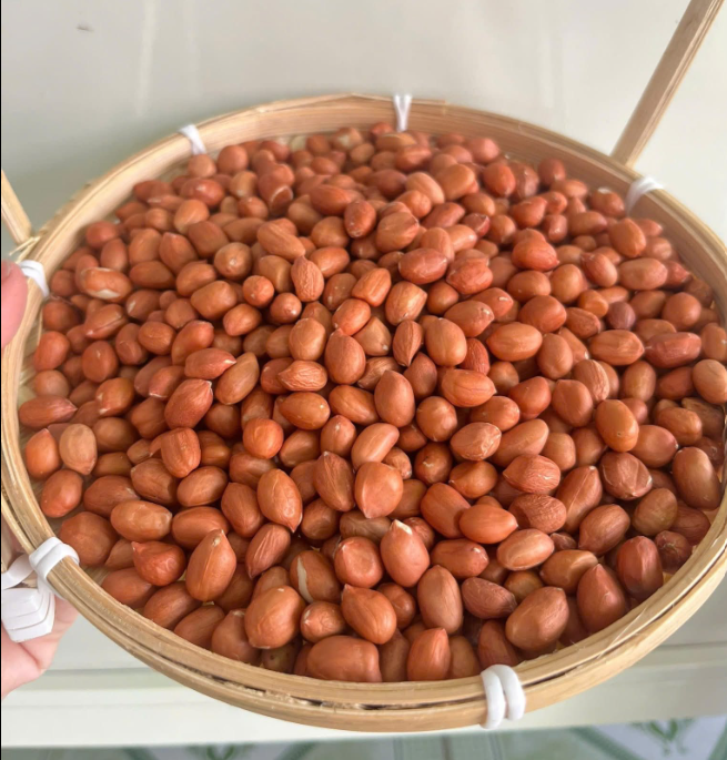 INDIAN PEANUTS TJ