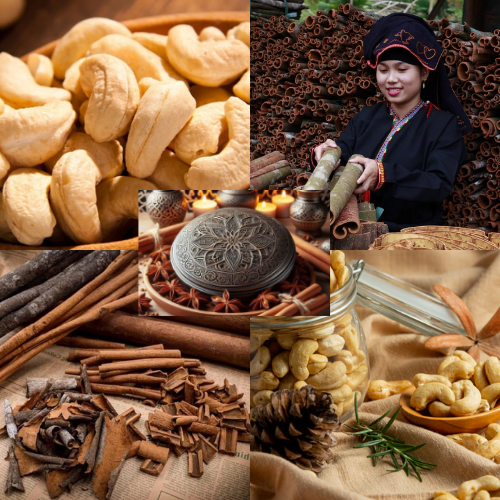 EXPORTING PRODUCTS