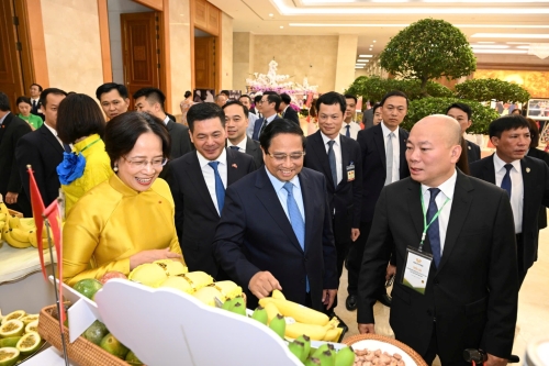 A COMPREHENSIVE GUIDE TO IMPORTING FOOD & AGRICULTURAL PRODUCTS FROM VIETNAM