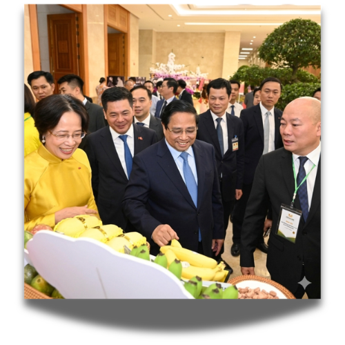 A COMPREHENSIVE GUIDE TO IMPORTING FOOD & AGRICULTURAL PRODUCTS FROM VIETNAM