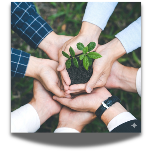 Tôn chỉ hoạt động