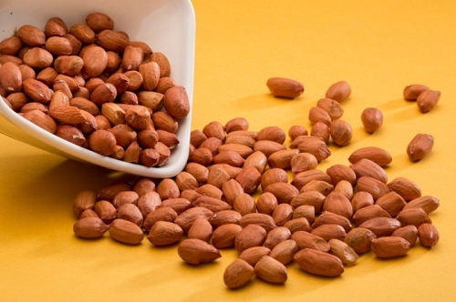 INDIAN PEANUTS BOLD
