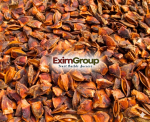 BROKEN STAR ANISE