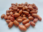 INDIAN PEANUTS BOLD
