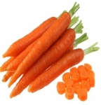 FRESH CARROT EGP