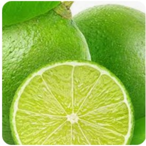 CHANH KHÔNG HẠT TƯƠI EGP