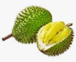 FRESH DURIAN Ri6/MONTHONG EGP