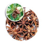 BROKEN STAR ANISE