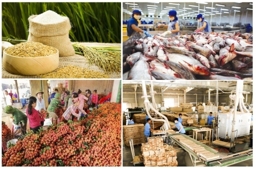 Agro-forestry-aquatic product exports post trade surplus of nearly 6 billion USD
