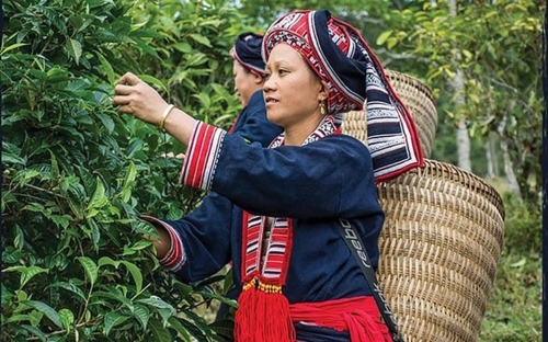 Boost eco-fair agricultural products